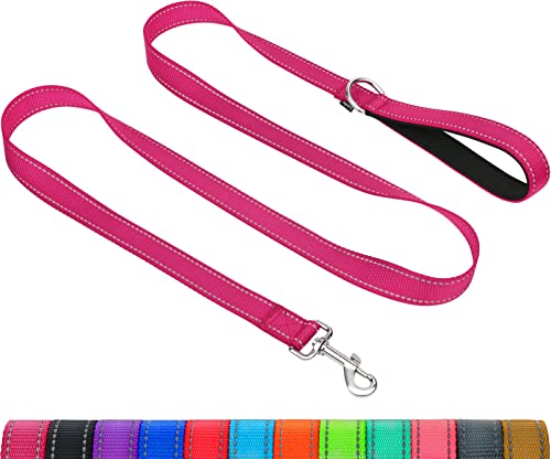 Taglory Correa Perro Reflectante, Mango Acolchado Suave y Gancho de Metal, Correas Adiestramiento para Perros Pequeño, 1.2m x 2.0cm, Fucsia