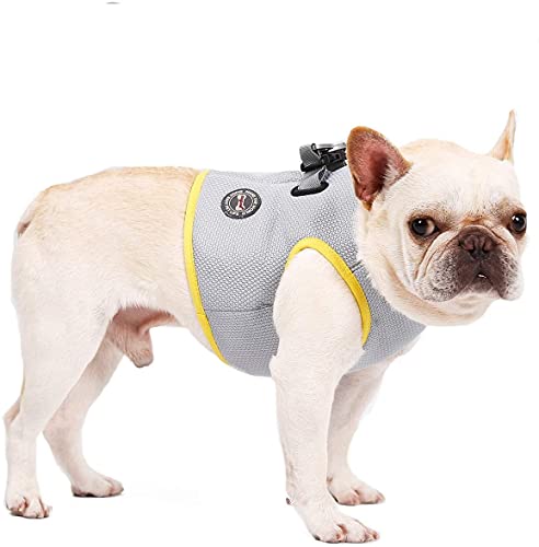 Arnés de enfriamiento para Perros, arneses de Pecho al Aire Libre para Perros en Verano, Chaleco Transpirable, Chaqueta de enfriamiento, protección Solar, Abrigo para Mascotas (XXXL)