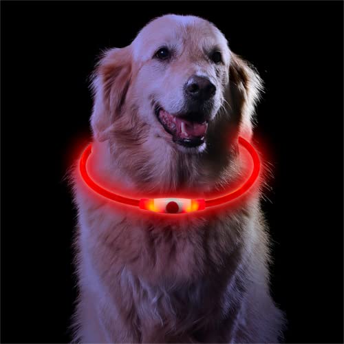 Sarsumir Collar Luminoso Perro Recargable, Collar Luz Perro Impermeable con 3 Modos de Luz, Ajustable Collares LED para Perros Gatos Pequeño Mediano Grande Seguro por la Noche, Rojo