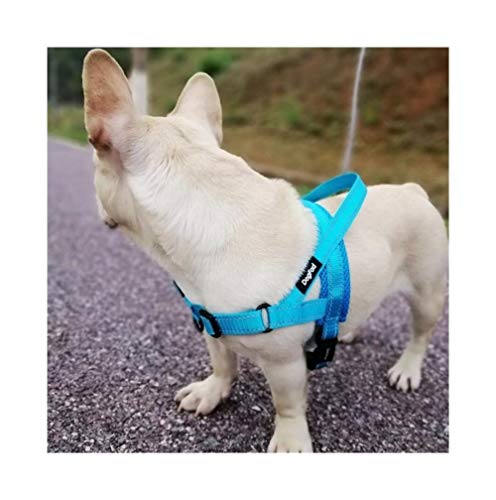 Atzlshof Arnés del Perro y Sacar fácilmente Ajustables Perros Grandes Mediano, reflexivo sin Tire Chaleco de Entrenamiento for Caminar arnés for Mascotas Perros (Color : Azul, Size : L)