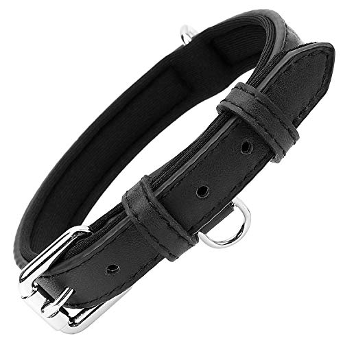 Grand Line Collar de Perro de Cuero, Collare Ancho y Grueso con Suave Acolchado，Collare de Perro en Piel Ajustables Resistentes para Perros Pequeños, Medianos, Grandes (Negro, M)