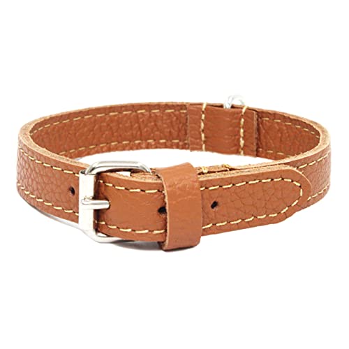 DOGISSIMI Collar para perro de piel auténtica, disponible en diferentes tamaños y colores | Collar perro mejor relación calidad-precio | Resistente, ecológico y sostenible (M, cuero)