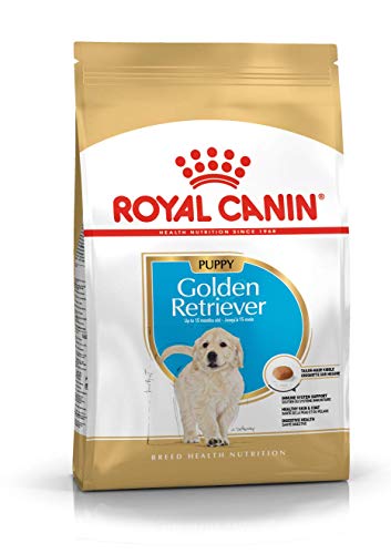 Royal Canin C-08997 S.H Golden Retriever Junior - 12 Kg