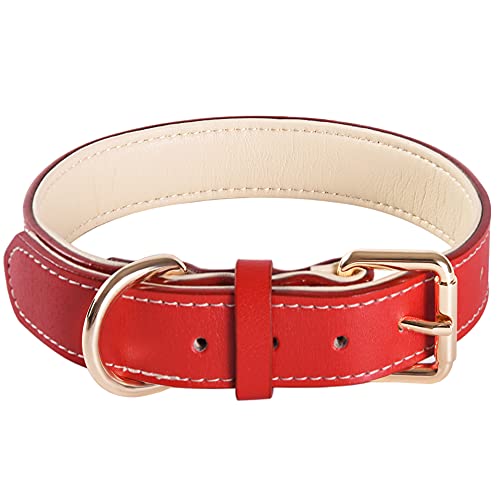 Collar ajustable de piel auténtica suave acolchada para perros de raza pequeña, mediana y grande (M, rojo)