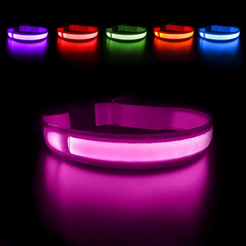 MASBRILL Collar Luminoso Perro de Mascota, 3 Modos Collar Luz Perro con Recargable y Impermeable, Ajustable Collares LED para Perros Pequeños/Medianos/Grandes(Rosa M)