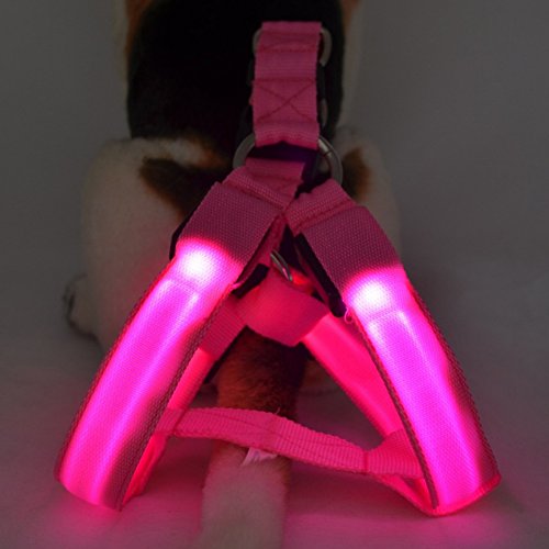 Keysui Arnés con luces LED para perro, correa de seguridad para mascotas