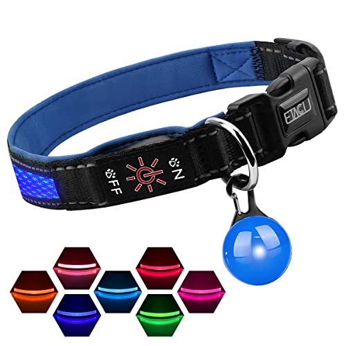 ETACCU Collar de Perro LED, Collar de Perros Ajustable con 3 Modos y 7 Colores, Collar Luminoso Impermeable Recargable por USB, Collares Básicos para Mascotas (Mediano (40-55cm), Azul)