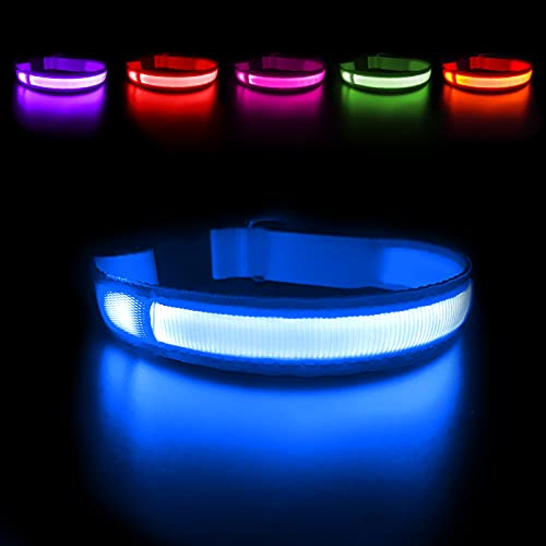 MASBRILL Collar Luminoso Perro de Mascota, 3 Modos Collar Perro Luz con Recargable y Impermeable, Ajustable Collares LED para Perros Pequeños/Medianos/Grandes(Azul L)