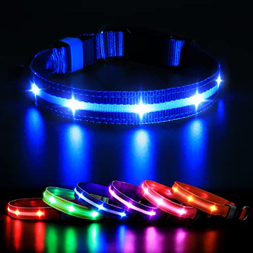 MASBRILL Collar LED Perro, Collar para Perro Luminoso Recargable y Impermeable, 3 Modos de Iluminación led y Tamaño Ajustable para Perros Pequeños Medianos Grandes(Azul M)