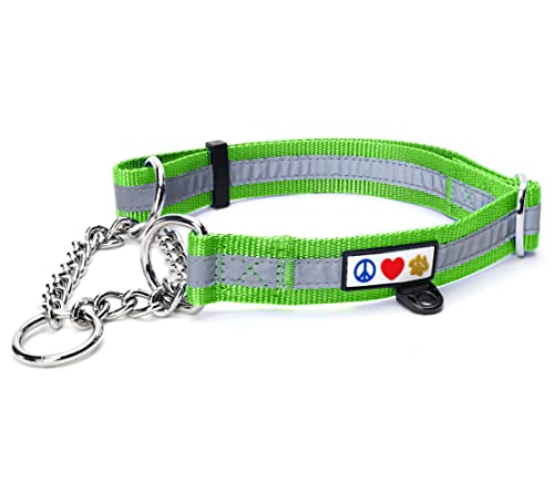 Pawtitas Collar de Perro de Cadena Martingale Reflectante Collar para obediencia Talla Grande Color Verde