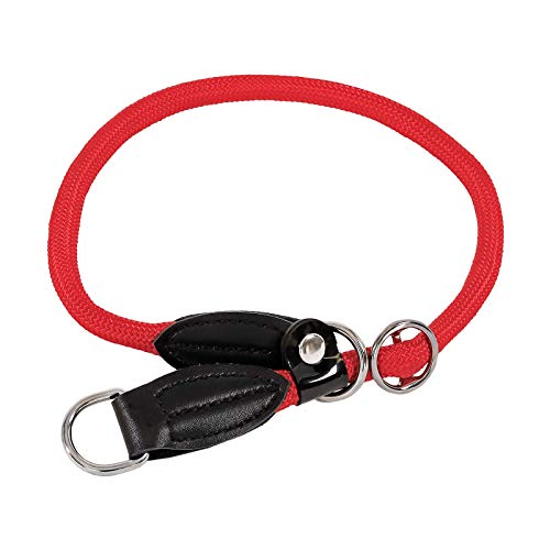 lionto Collar de Perros Collar Retriever Collar de adiestramiento, Longitud 45 cm Rojo