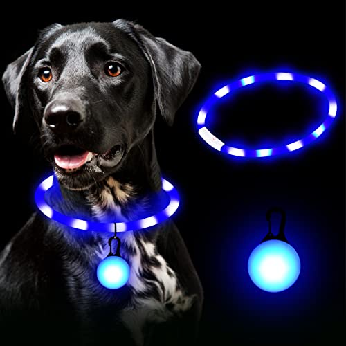 FORMIZON 2 Piezas Collar Luminoso Perro, Collar Luminoso LED Perro Impermeable Ajustable, 4 Modos Collar Perro Luz Recargable, Collar LED Perros Brillante para Perros Gatos Pequeños Medianos Grandes