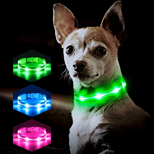 PZRLit Collar luminoso para perro con USB, recargable LED para perros pequeños, medianos grandes, totalmente ajustable y brillante, de seguridad, para perros mientras corre por la noche, XS verde