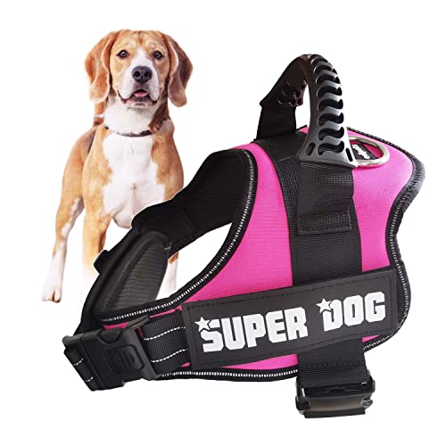 Edipets, Arnes Perro, Antitirones, para Perro Grande Mediano y Pequeño, Homologado, Reflectante, Transpirable, Chaleco Acolchado Ajustable para Adiestramiento (XXL, Rosa)