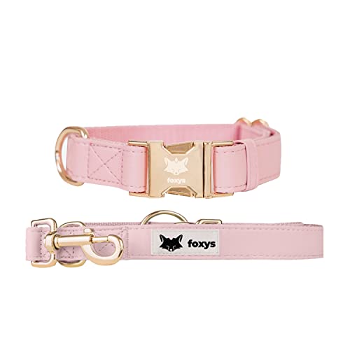 Foxys Conjunto Correa (2m) y Collar Perro Rosa a Juego de compañía | CityFox | Set Elegante y Ajustable | Fácil de Limpiar y Resistente (Talla S, Rosa)