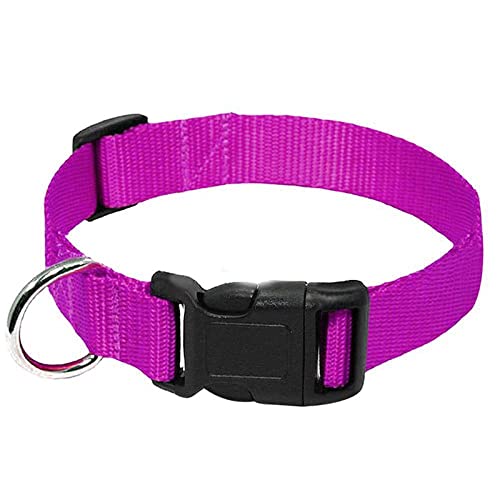 Collar para perros de nailon, resistente, con clip, para perros pequeños, medianos y pequeños, para chihuahua, accesorio para perros, útil y práctico