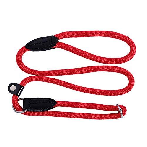 lionto Correa Retriever Correa de Perro Correa de Entrenamiento, Longitud 120 cm Rojo