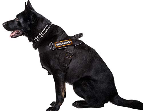 DINGO GEAR Arnés Multifuncional para Perro en el Trabajo, Entrenamiento de Perro Guardia, K9 e IPO, Sistema Cobra Hecho a Mano Negro S03196, L