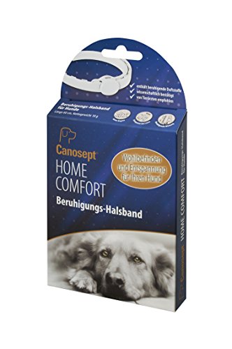 Canosept Home Comfort Collar Calmante 1 Pieza - Feromonas para perros - Calmante para los perros - El Collar Para Perros Con Valeriana Y Lavanda - Antiestrés Para Perros - Relajación De Los Perros