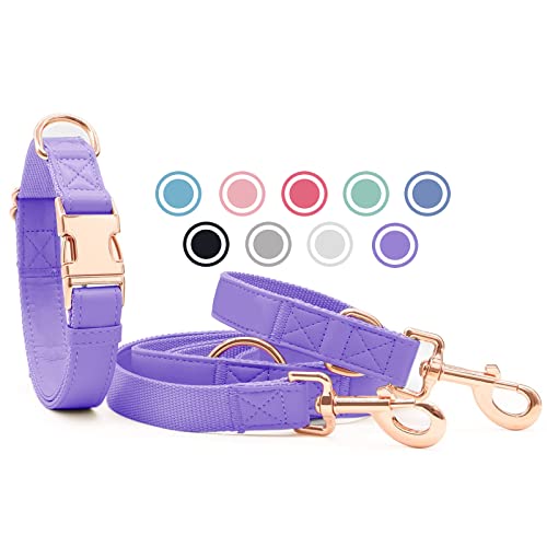 Juego de collar y correa para perro de piel suave (2 m) – 3 correas ajustables para perros con collar, elegante hebilla de metal y correa de nailon para cachorros pequeños y medianos perros de color