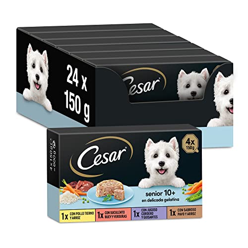 Cesar Comida Húmeda para Perros Senior, Selección Carnes Mixtas, Multipack (Pack de 6 x 4 Tarrinas x 150g)