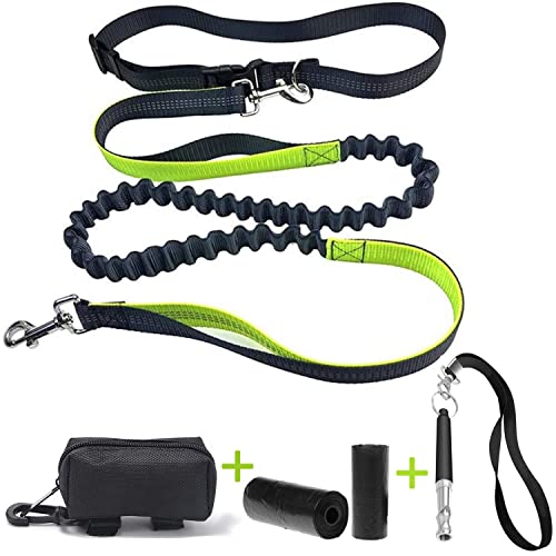 LOW&EE Correa para Correr con Perros - Correa Manos Libres Perro retráctil - Correa Perro Running - Costuras Reflectantes + Bolso excrementos 30 Bolsas + Silbato ultrasonido (Gris/Verde)