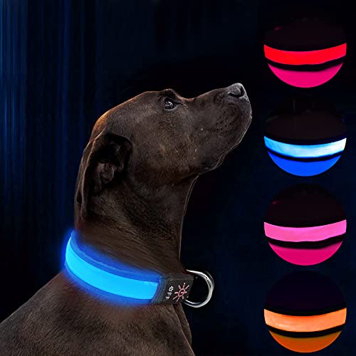 Collar de Perro LED Iluminado Collar de Perro USB Recargable Impermeable,Banda Nocturna para Perros con 3 Modos de Brillo,Hace Que su Perro Sea Visible,Seguro y Visto (Blue, M)