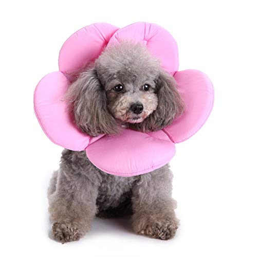 BOduShang Collar Isabelino Perro Collar Isabelino Inflable Perros Ajustable Mascotas Cono Gato Cono Los Gatos Collar Protector de Cuello para Perros Pink,35