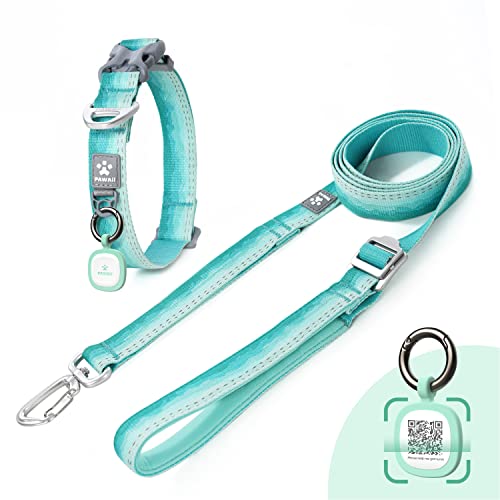 Set de Collar y Correa para Perros Pawaii, Collar Personalizado con Etiqueta de identificación de la Mascota y Correa Reflectante, Collar y Correa para Perros pequeños, medianos y Grandes