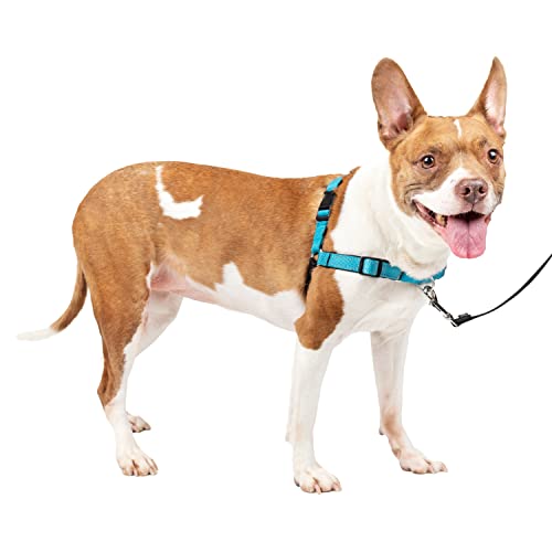 PetSafe Easy Walk Deluxe Arnés Antitirones para Perros, Adiestramiento de Perros, Evita Asfixia, Azul, Mediano, M