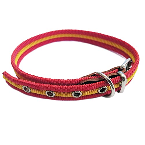 Global Collar de Perro Bandera de España | Collar de Perro de algodón con Refuerzo en Enganche | Collar 40 cms Duradero – Contorno de Cuello de 10 a 11,30