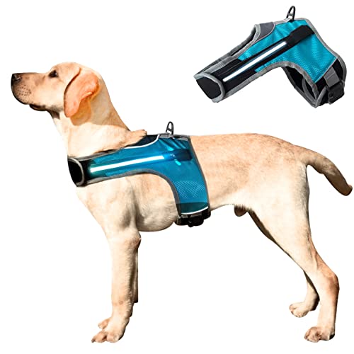 Arnés para Perros con Tira de luz LED, fácil de Usar arnés para Perros Reflectante Ajustable para Adiesreamiento, arnés para Perros Duradero y Transpirable (Azul, S)