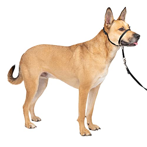 PetSafe Easy Walk Collar de Cabeza Antitirones Para Perros, Ajustable, Acolchado, Con Correa De Paseo Incluida, Negro, M