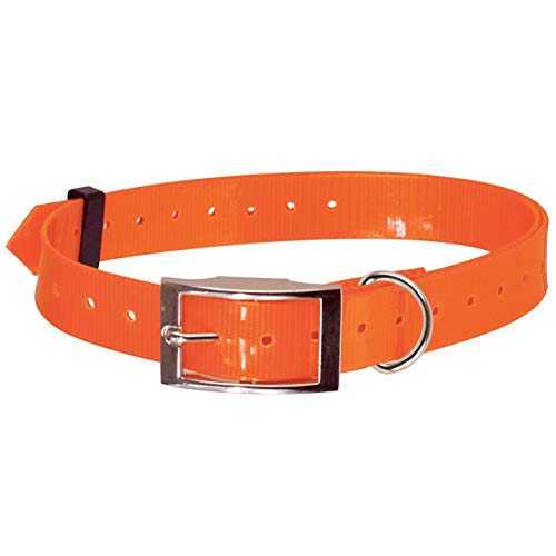 Doogy Collares básicos para Perros Collar Nylon/Poliuretano 24-82CM X 25 mm Naranja