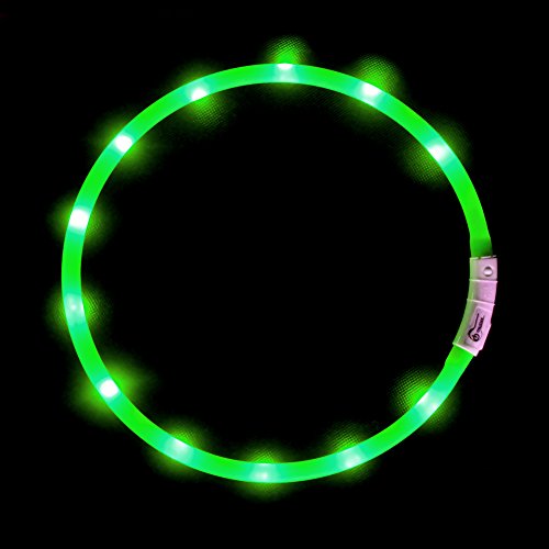 Collar de seguridad para perro con luces led, resistente al agua, ajustable, recargable en puerto USB y hecho de silicona