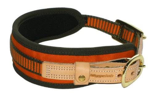 Niggeloh Collar Rastro - Collar de Caza, Color Naranja, Talla M