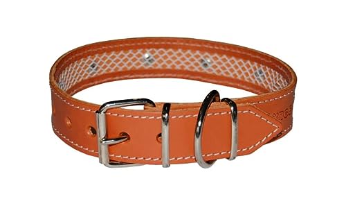 TUYNEC - Único Collar para Perros Que Protege el Collar antiparasitario Perros. Collar Perro, Hecho a Mano con Cuero de Primera Calidad Que asegura la Correcta duración del Collar antiparasitario.