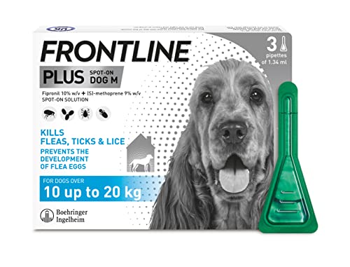 Frontline Plus Tratamiento para pulgas y garrapatas para Perros medianos (10-20 kg) - 3 pipetas