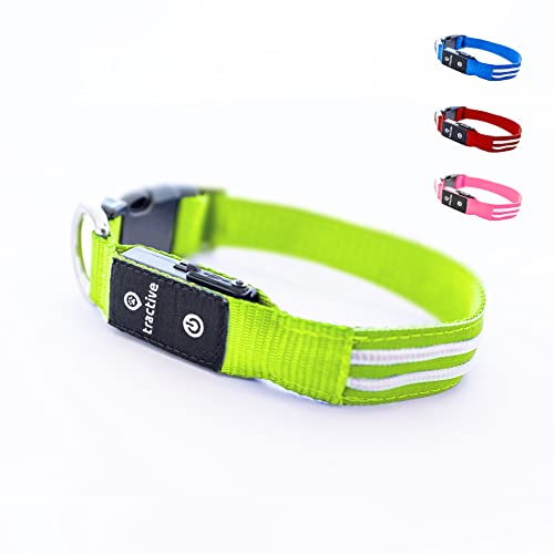 Tractive Collar luminoso para perros, Carga USB, Impermeable, collar LED (S, verde)