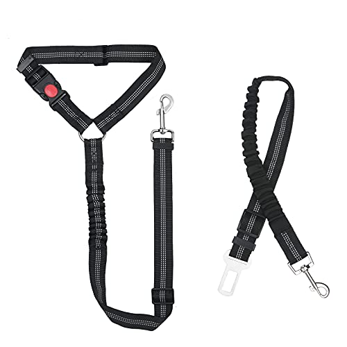 URAQT Correas para Perros, 2 Piezas Correa Perro Adiestramiento Ajustable, Correas Antitirones para Perros Manos Libres para Perros Grandes y Medianos, Correas Nylon Resistente, Negra