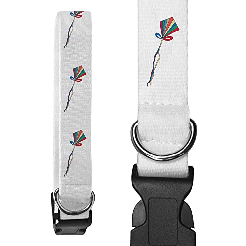 Largo 'Cometa Arcoiris' Collar para Perro (PR00019274)