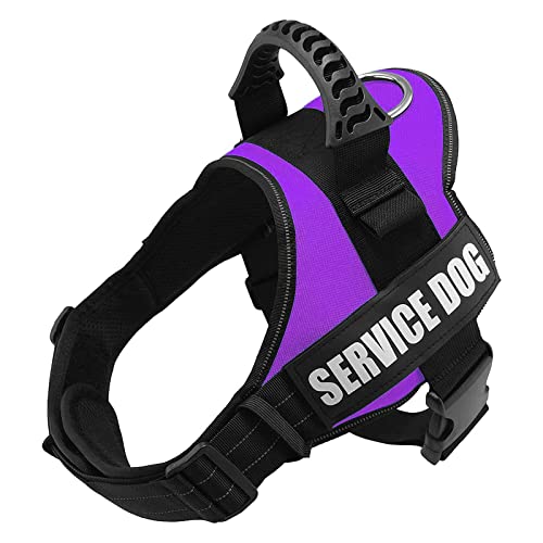 Arnés Personalizado para Perros, Reflectante Ajustable, Arnés Antitirones Suave Acolchado Cómodo Transpirable Arnés Chaleco para Perros Pequeños, Medianos y Grandes (XS, Morado)