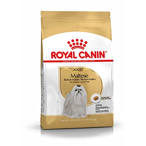 Royal Canin Maltese Adult | 1,5 kg |Alimento seco para malteses adultos | Para el pelaje y la digestión | Con EPA y DHA | A partir de 10 meses de edad