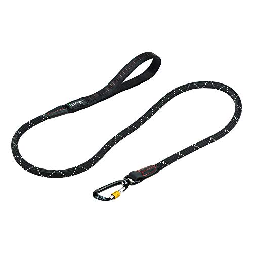 iEnergy GEM Sport, Correa para Perros de adiestramiento y Exterior, 150 cm Negro Talla única