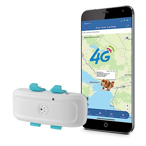 4G Collar GPS para Perros Grandes Gatos Animales Rastreador GPS con Tarjeta Sim, Valla de Seguridad, Alarma de Luz y Sonido, Podómetro, Impermeable Localizador GPS Perros TK911Pro 4G