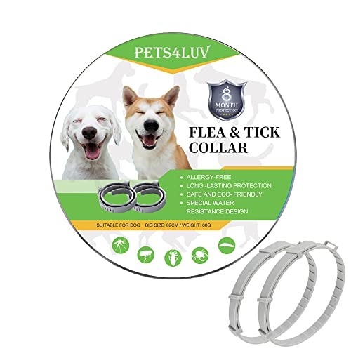 Pets4Luv Collar antipulgas y garrapatas para Perros, Collar Repelente de inspección de Perros, protección de 8 Meses, Talla única para Todos los Perros, diseño Ajustable e Impermeable, 2 Piezas