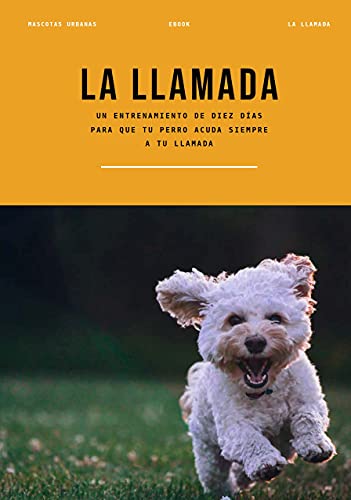 La Llamada: Un entrenamiento de diez días para que tu perro acuda siempre a tu llamada