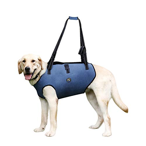 Coodeo Arnés de Elevación para Perros, Soporte para Mascotas Y Rehabilitación Correas Transpirables Acolchadas Ajustables para Personas Mayores, Discapacitadas Lesiones en Las Articulaciones(Azul, XL)