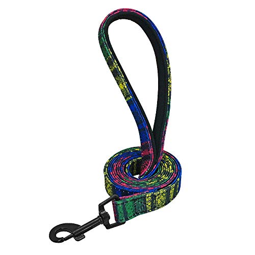 LSHMSN Correa De Perro, Pet por Puppy Dog Perro CORRECCIÓN CORRECCIÓN Correa DE CURENAMIENTO RODANDO ROANBOW REFERIOR para PEQUEÑOS Perros Medios Medios,B,2cm*120cm