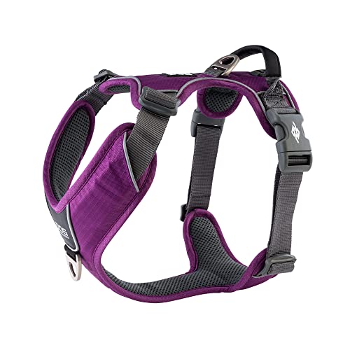 DOG Copenhagen Hundegeschirr V2 Comfort Walk (Pro) Purple Passion Talla L